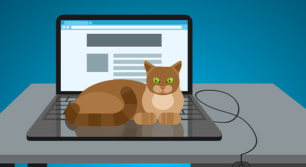 Read more about the article How to Avoid Pets Damaging Your Computers